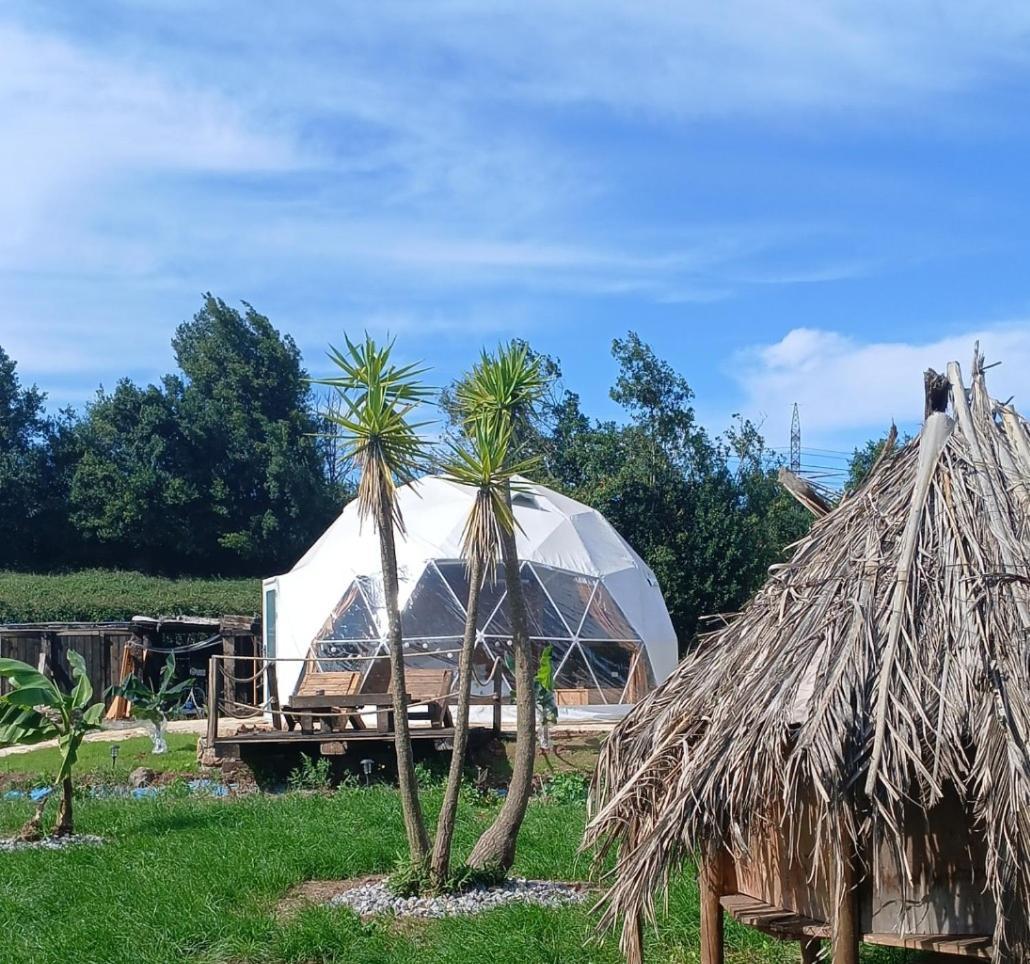 Luxury tent Glamping Quintana *
