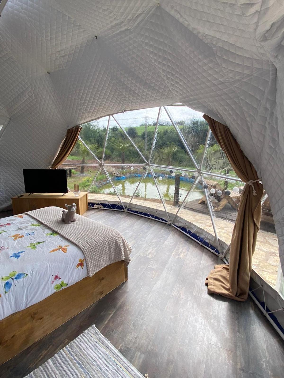 Glamping Quintana *