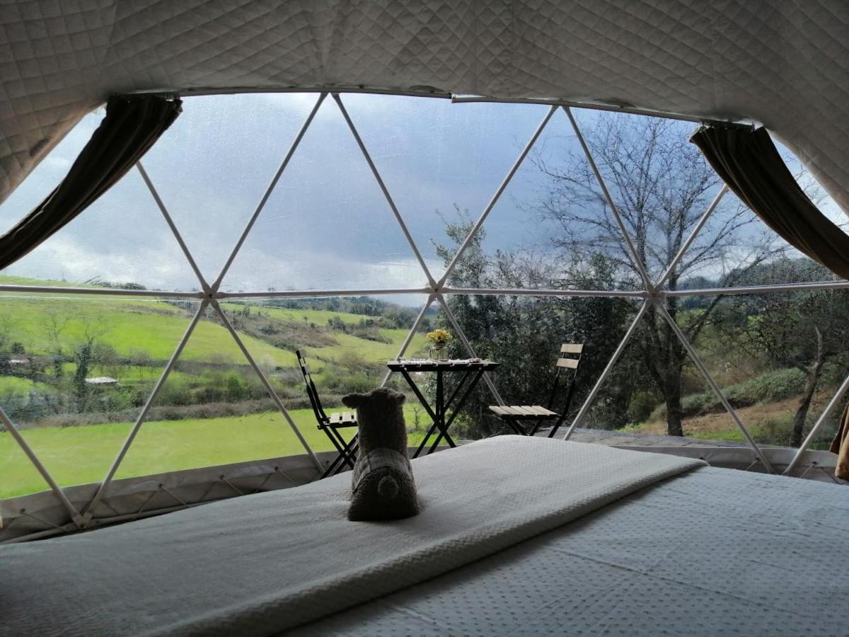Glamping Quintana Campo de lujo