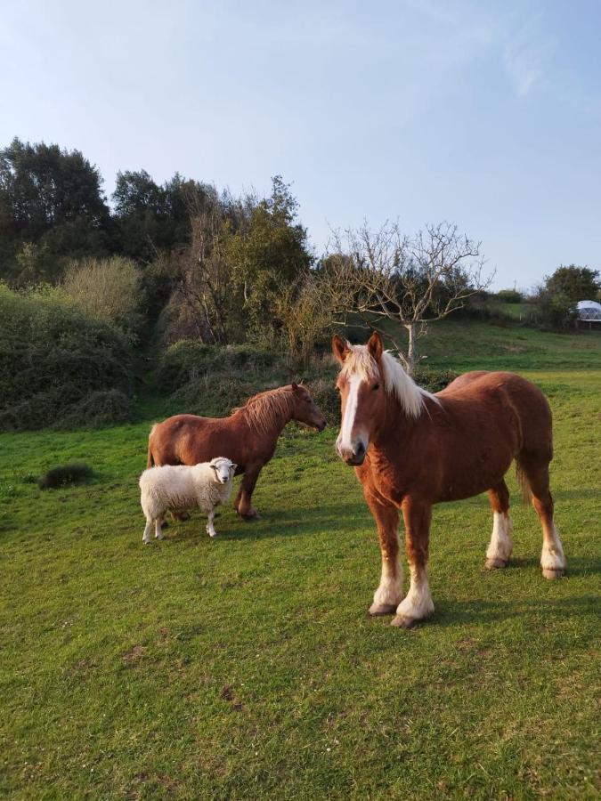 Campo de lujo Glamping Quintana